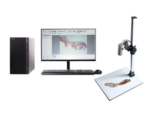 KH-CX大體標(biāo)本成像系統(tǒng)